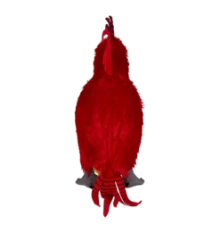 Warner Bros Fawkes Large Plush -Harrypotter Sales Shop 1229894 2