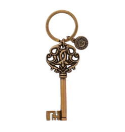 Warner Bros Gringotts Key Keyring