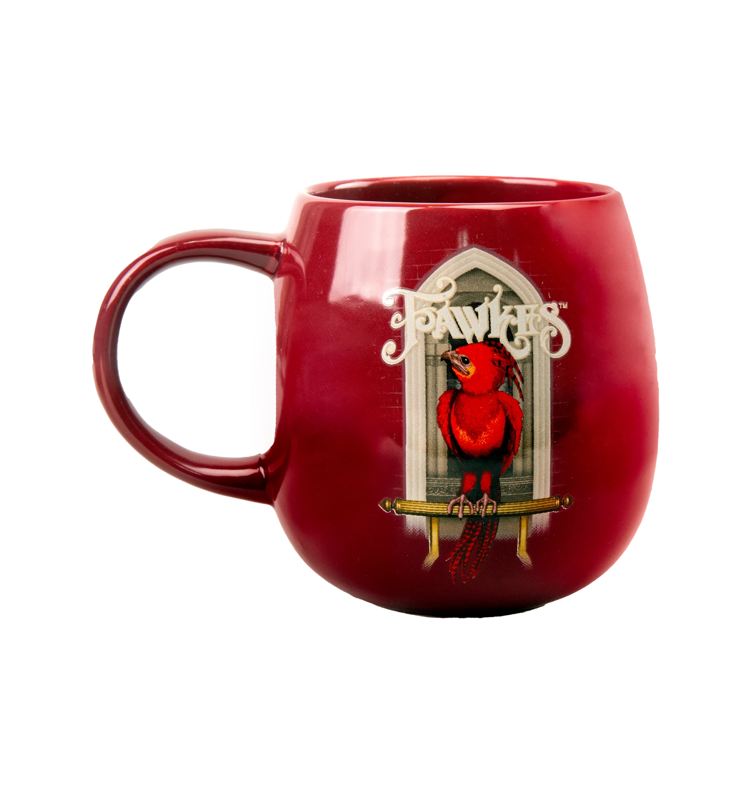 Warner Bros Fawkes Mug 1 Warner Bros Fawkes Mug