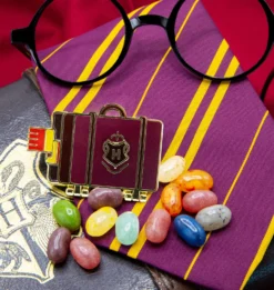 Warner Bros Harry Potter Trunk Enamel Pin -Harrypotter Sales Shop HarryTrunkPin2