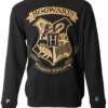 Warner Bros Hogwarts Striped Sleeve Sweatshirt