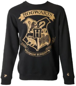 Warner Bros Hogwarts Striped Sleeve Sweatshirt