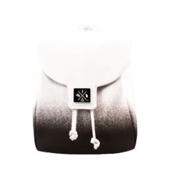 Warner Bros Harry Potter NYC Ombre Backpack