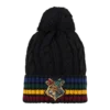 Warner Bros Hogwarts School Crest Knitted Hat