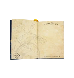 Harrypotter Sales Shop -Harrypotter Sales Shop Product USDragonIconic2