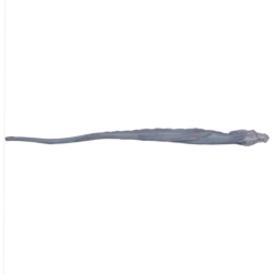 Warner Bros Ukrainian Ironbelly Wand -Harrypotter Sales Shop Wand TheUkrainianIronbelly Alone 600x600px