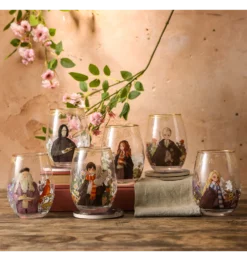 Warner Bros Yume Students And Professors Glass Gift Set