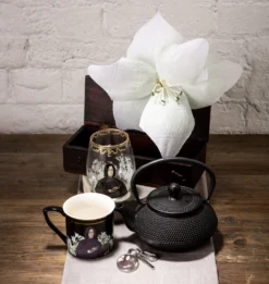 Warner Bros Yume Severus Snape Gift Set