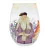 Warner Bros Yume Professor Dumbledore Glass