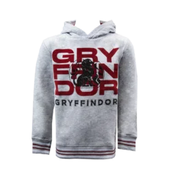 Warner Bros Kids Gryffindor Logo Hoodie