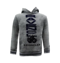 Warner Bros Kids Ravenclaw Logo Hoodie