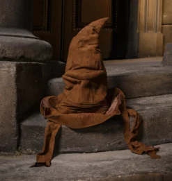 Warner Bros Animated Sorting Hat